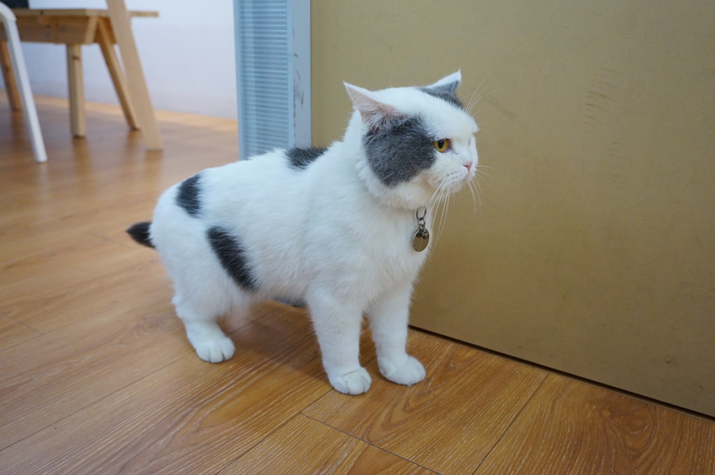 DSC08378.JPG DSC08378.JPG
