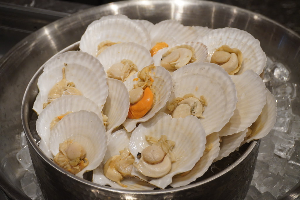 DSC01547.JPG DSC01547.JPG