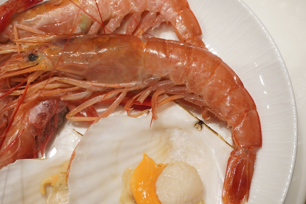 DSC01586.JPG DSC01586.JPG