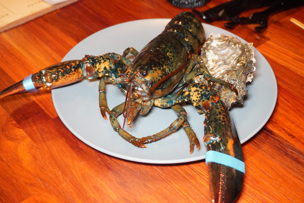 DSC04104.JPG DSC04104.JPG