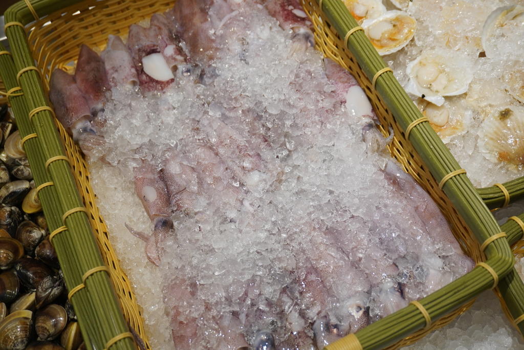 DSC08561.JPG DSC08561.JPG