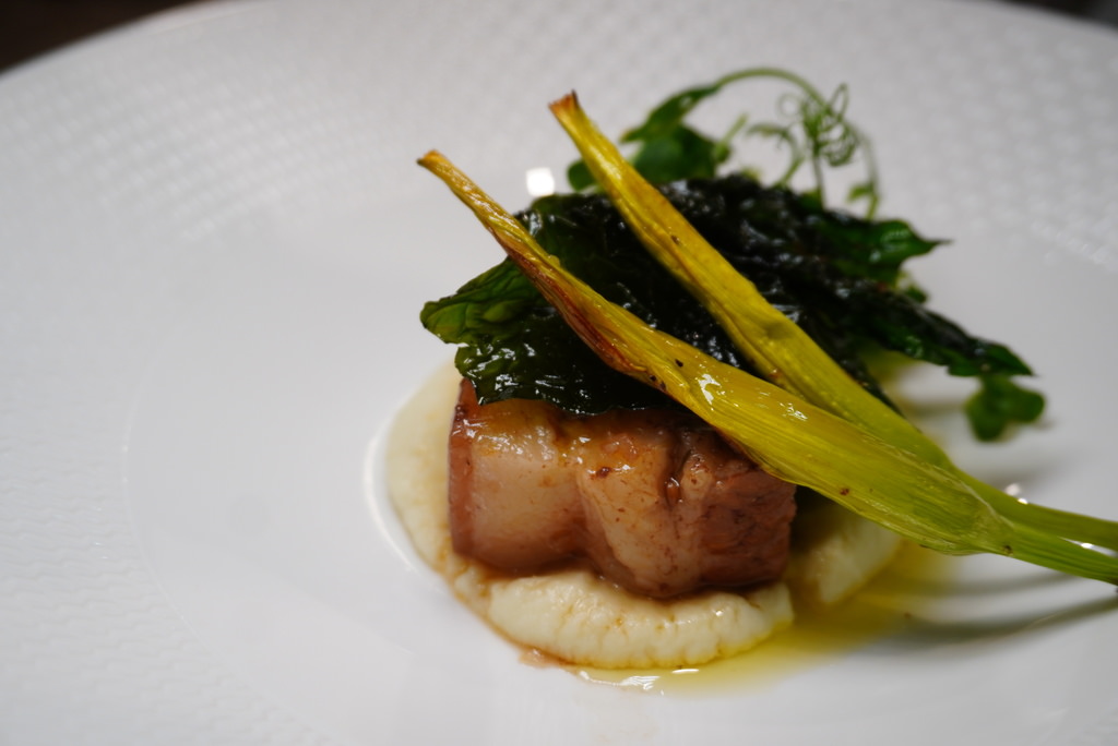 DSC01648.JPG DSC01648.JPG