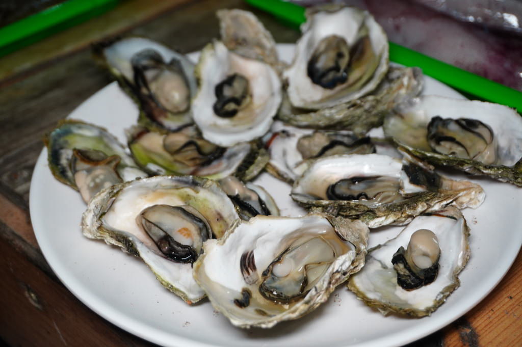 DSC00414.JPG DSC00414.JPG