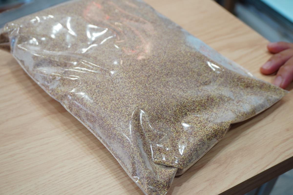 東洲黑糖專賣店 台中公益店 獨家莊園豆咖啡小杯$50 x 百元愛文雪花芒果冰 | 台中冰店推薦 - 第20張圖 東洲黑糖專賣店 台中公益店 獨家莊園豆咖啡小杯$50 x 百元愛文雪花芒果冰 | 台中冰店推薦