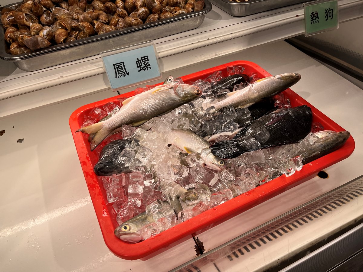 高雄海鮮吃到飽 南海澎湖燒烤 -只要 550+10% 澎湖直送鮮蚵 | 多種新鮮魚貨 | 肉品吃到飽 | 凱旋夜市餐廳