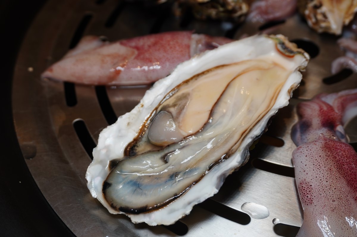 濤濤海鮮蒸氣鍋 – 精緻桌邊蒸氣鍋海鮮餐廳 | 品嚐最新鮮的美味 | 臺北蒸氣鍋推薦 | 新莊典華餐廳 - 第35張圖 濤濤海鮮蒸氣鍋 – 精緻桌邊蒸氣鍋海鮮餐廳 | 品嚐最新鮮的美味 | 臺北蒸氣鍋推薦 | 新莊典華餐廳