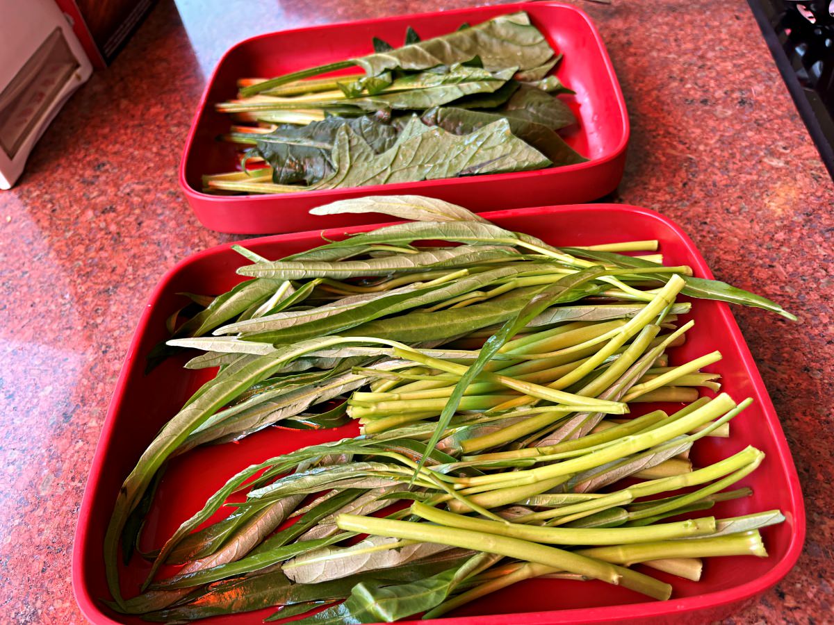 曼谷 MK 火鍋餐廳 | 全泰國最多連鎖分店的泰式壽喜火鍋 | 其實是燒鴨店? - 第20張圖 曼谷 MK 火鍋餐廳 | 全泰國最多連鎖分店的泰式壽喜火鍋 | 其實是燒鴨店?