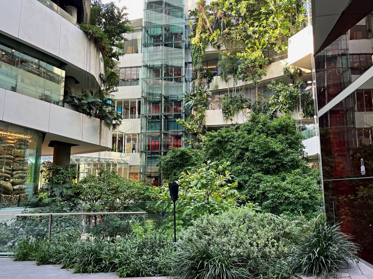曼谷空中花園星巴克 x 空中陽臺 % Arabica 咖啡一次滿足 | EmQuartier 曼谷 | 一天都逛不完的百貨特區 - 第10張圖 曼谷空中花園星巴克 x 空中陽臺 % Arabica 咖啡一次滿足 | EmQuartier 曼谷 | 一天都逛不完的百貨特區