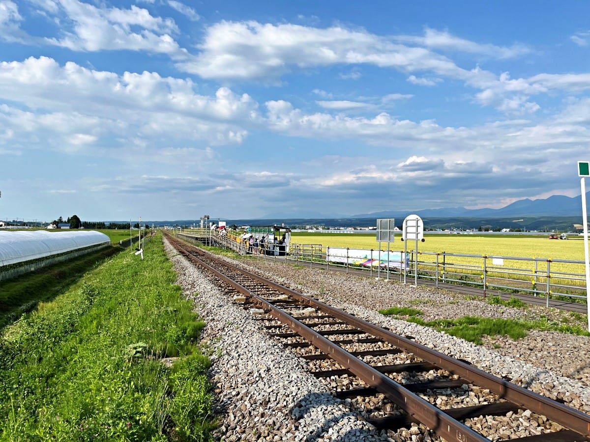 JR 北海道 富良野線-搭火車看薰衣草 | 觀光美瑛慢車漫遊薰衣草花田 | 富良野薰衣草交通 - 第21張圖 JR 北海道 富良野線-搭火車看薰衣草 | 觀光美瑛慢車漫遊薰衣草花田 | 富良野薰衣草交通