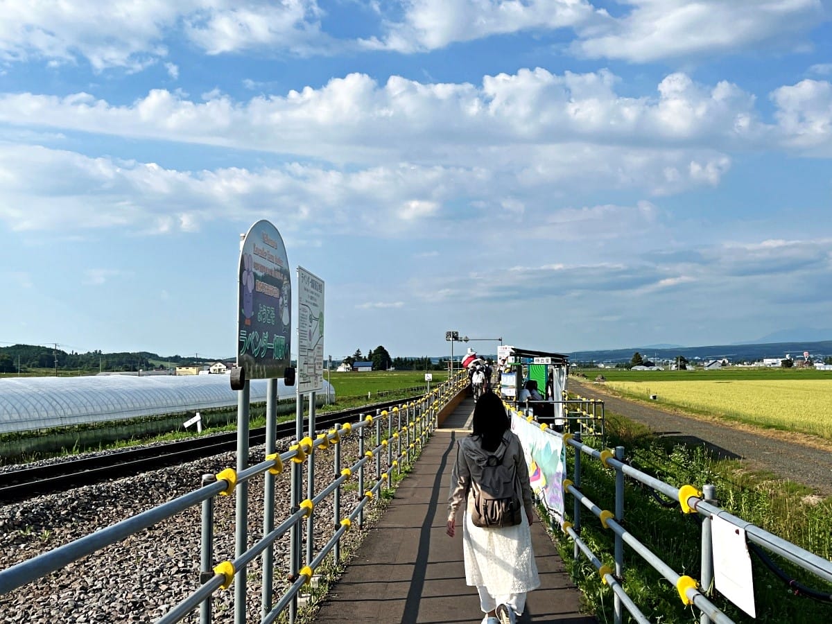 JR 北海道 富良野線-搭火車看薰衣草 | 觀光美瑛慢車漫遊薰衣草花田 | 富良野薰衣草交通 - 第22張圖 JR 北海道 富良野線-搭火車看薰衣草 | 觀光美瑛慢車漫遊薰衣草花田 | 富良野薰衣草交通