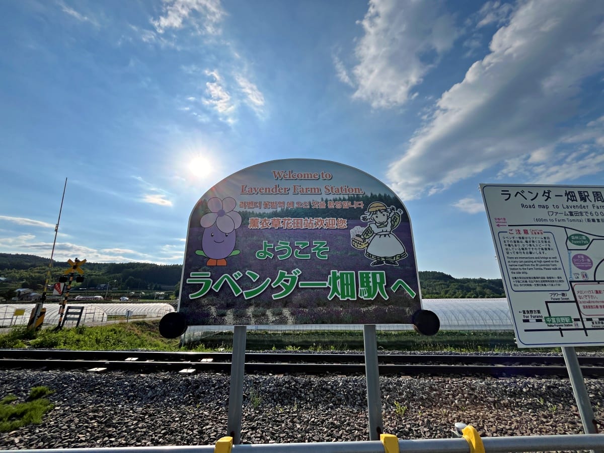 JR 北海道 富良野線-搭火車看薰衣草 | 觀光美瑛慢車漫遊薰衣草花田 | 富良野薰衣草交通 - 第23張圖 JR 北海道 富良野線-搭火車看薰衣草 | 觀光美瑛慢車漫遊薰衣草花田 | 富良野薰衣草交通