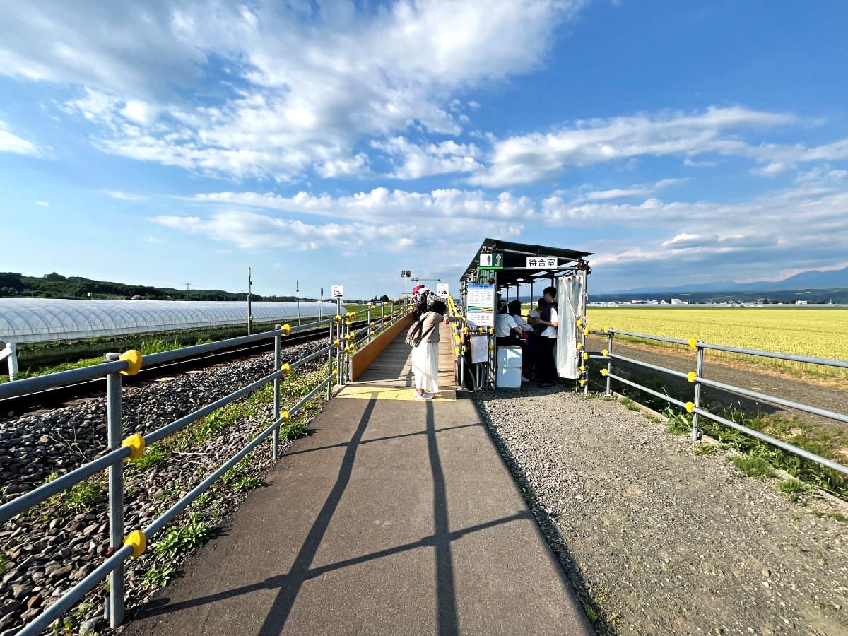 JR 北海道 富良野線-搭火車看薰衣草 | 觀光美瑛慢車漫遊薰衣草花田 | 富良野薰衣草交通 - 第24張圖 JR 北海道 富良野線-搭火車看薰衣草 | 觀光美瑛慢車漫遊薰衣草花田 | 富良野薰衣草交通
