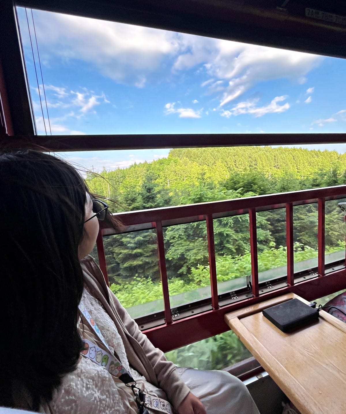 JR 北海道 富良野線-搭火車看薰衣草 | 觀光美瑛慢車漫遊薰衣草花田 | 富良野薰衣草交通