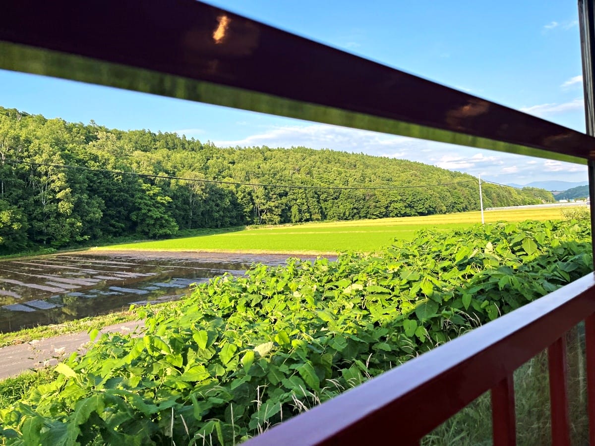 JR 北海道 富良野線-搭火車看薰衣草 | 觀光美瑛慢車漫遊薰衣草花田 | 富良野薰衣草交通 - 第34張圖 JR 北海道 富良野線-搭火車看薰衣草 | 觀光美瑛慢車漫遊薰衣草花田 | 富良野薰衣草交通