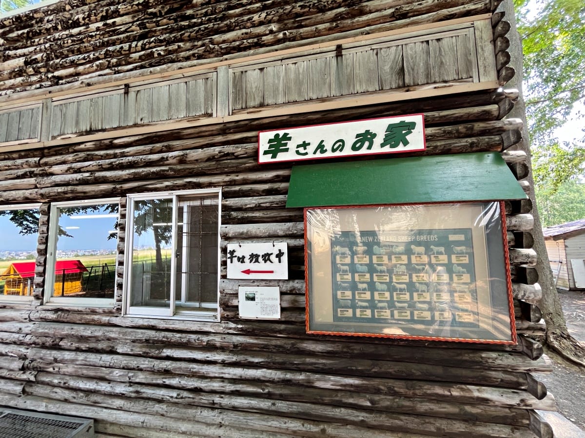 羊之丘觀景台 – 札幌夏季薰衣草 x 冬天玩雪最佳地點 | 羊之丘公車 - 第18張圖 羊之丘觀景台 – 札幌夏季薰衣草 x 冬天玩雪最佳地點 | 羊之丘公車