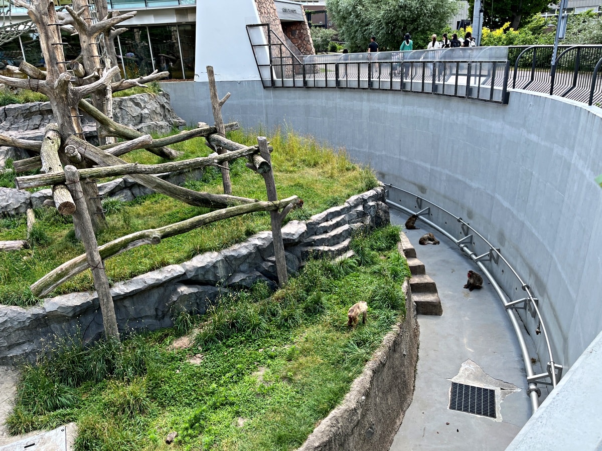 札幌市圓山動物園 – 札幌市區交通方便環境好票價便宜 | 還有北極熊北海道棕熊