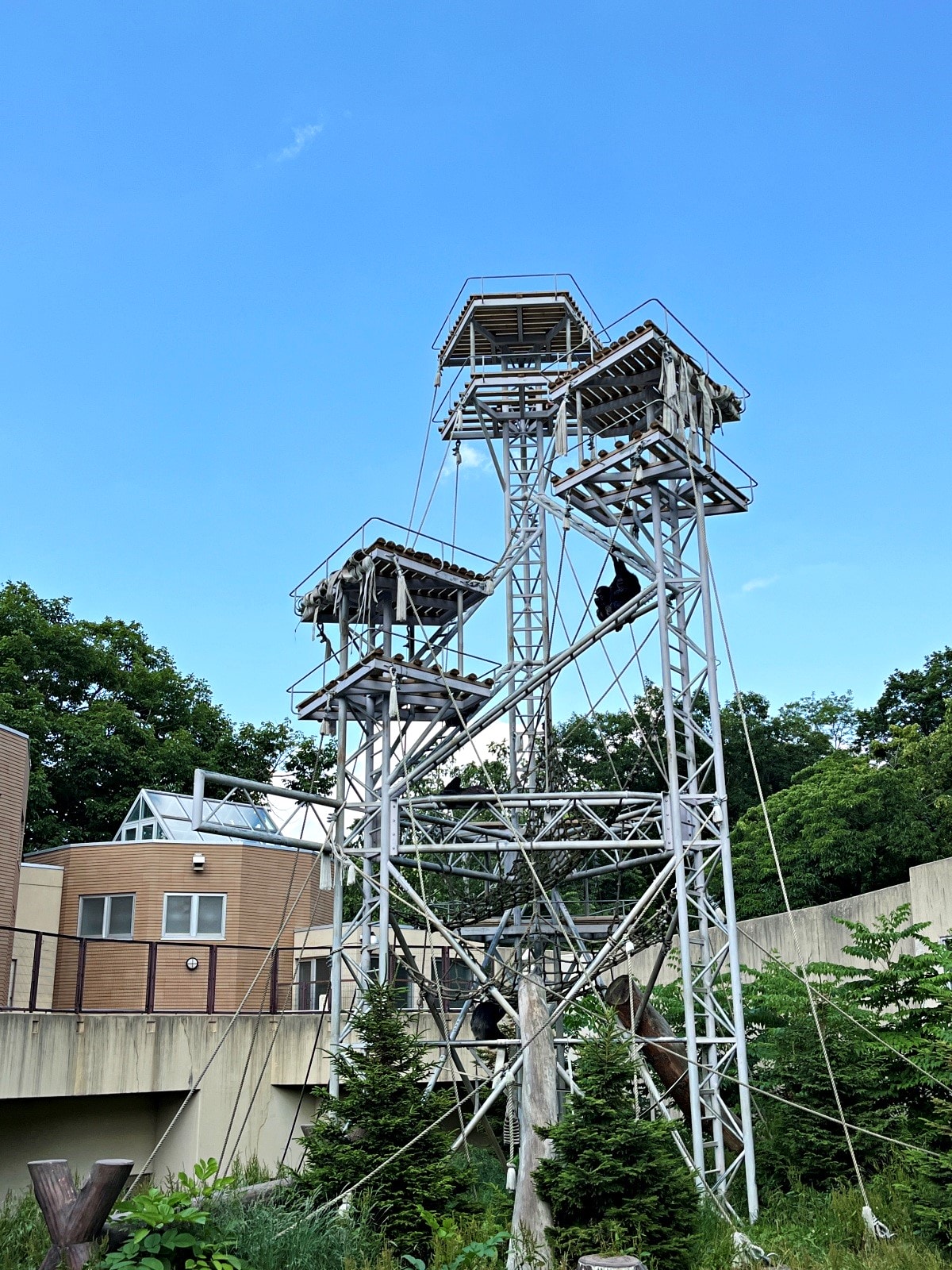 札幌市圓山動物園 – 札幌市區交通方便環境好票價便宜 | 還有北極熊北海道棕熊
