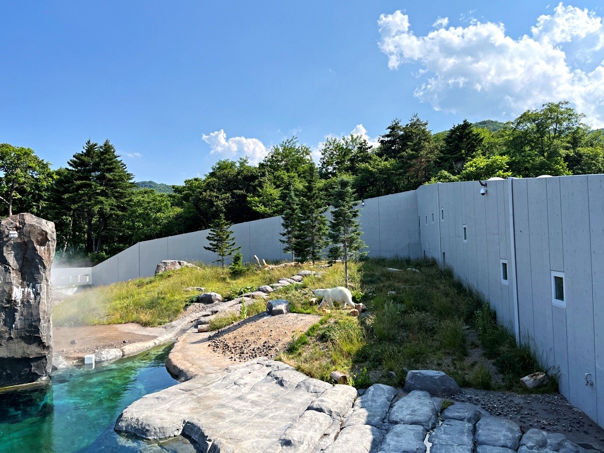札幌市圓山動物園 – 札幌市區交通方便環境好票價便宜 | 還有北極熊北海道棕熊