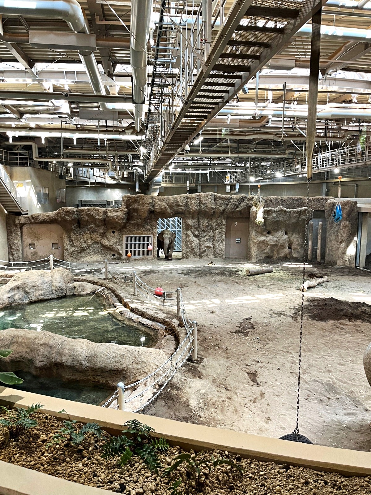 札幌市圓山動物園 – 札幌市區交通方便環境好票價便宜 | 還有北極熊北海道棕熊