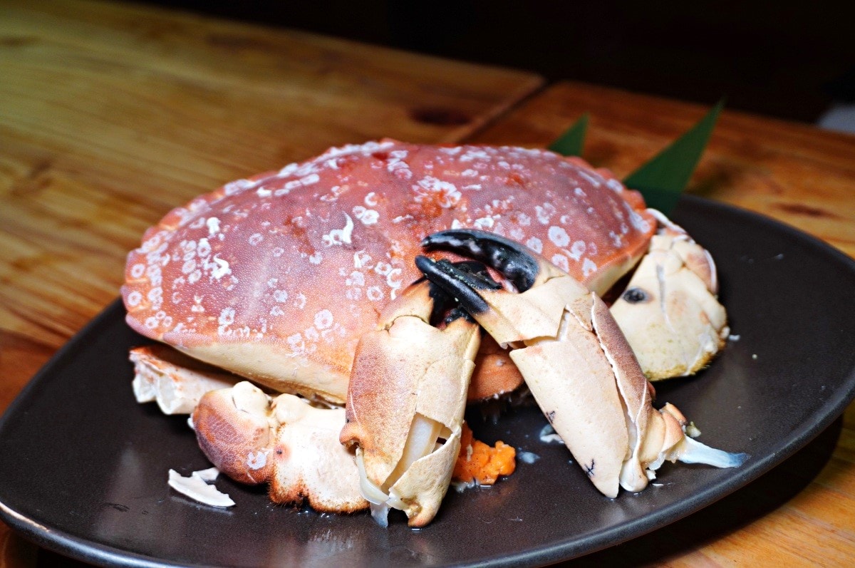 微風建一食堂- 台北精緻實在活海鮮無菜單 | 愛爾蘭麵包蟹 | 北海道喜知次 | 2480 價位方案 - 第28張圖 微風建一食堂- 台北精緻實在活海鮮無菜單 | 愛爾蘭麵包蟹 | 北海道喜知次 | 2480 價位方案