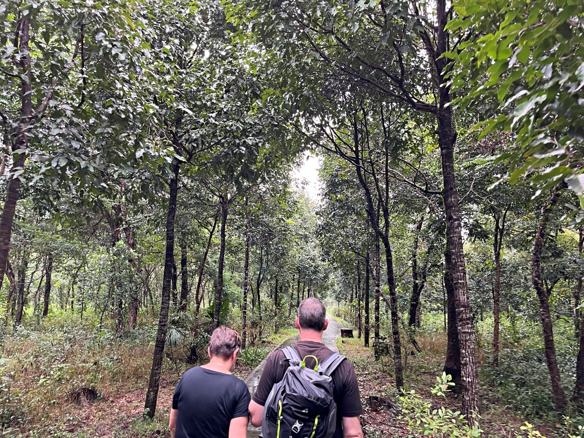 美山聖地一日遊 | 越南小吳哥窟 | 越南最大的古占婆國寺廟遺址 - 第32張圖 美山聖地一日遊 | 越南小吳哥窟 | 越南最大的古占婆國寺廟遺址