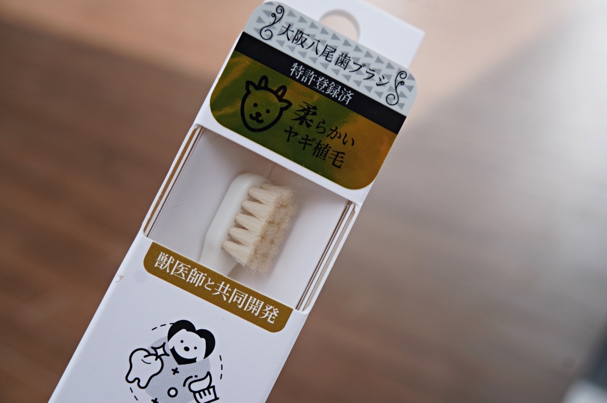 日本獸醫推薦 | 寵物牙膏/牙刷/口內噴霧選擇指南 | 貓奴必備！