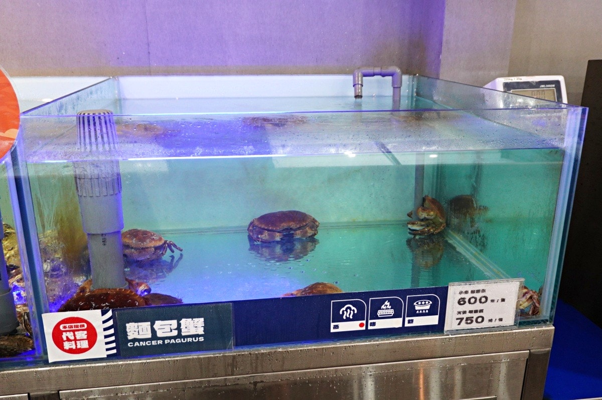 高雄貓饞水產超市 | 仁武海鮮 | 仁武露營用品 | 露營用餐區代客料理 | 活海產 | 晚上還有駐唱哦 - 第8張圖 高雄貓饞水產超市 | 仁武海鮮 | 仁武露營用品 | 露營用餐區代客料理 | 活海產 | 晚上還有駐唱哦
