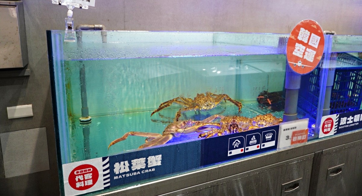 高雄貓饞水產超市 | 仁武海鮮 | 仁武露營用品 | 露營用餐區代客料理 | 活海產 | 晚上還有駐唱哦 - 第6張圖 高雄貓饞水產超市 | 仁武海鮮 | 仁武露營用品 | 露營用餐區代客料理 | 活海產 | 晚上還有駐唱哦