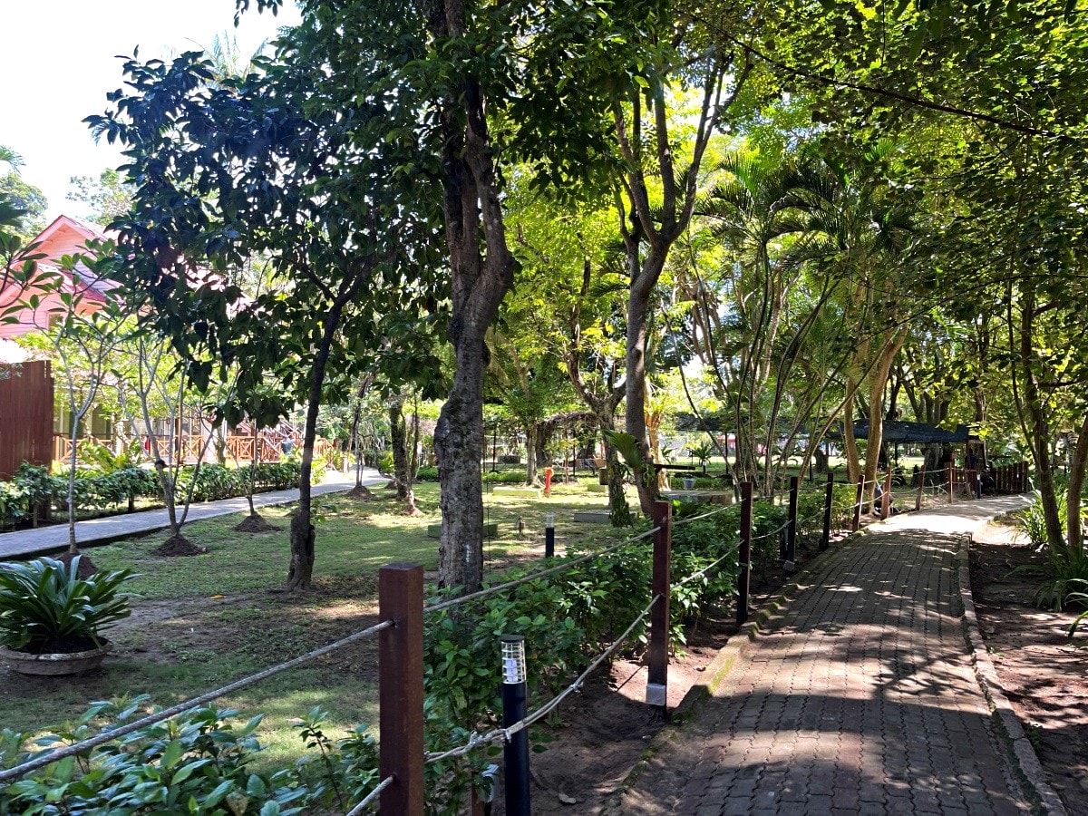 沙巴亞庇跳島 | 自己買船票超簡單 | 坐船出海浮潛一整天只要500臺幣? - 第21張圖 沙巴亞庇跳島 | 自己買船票超簡單 | 坐船出海浮潛一整天只要500臺幣?