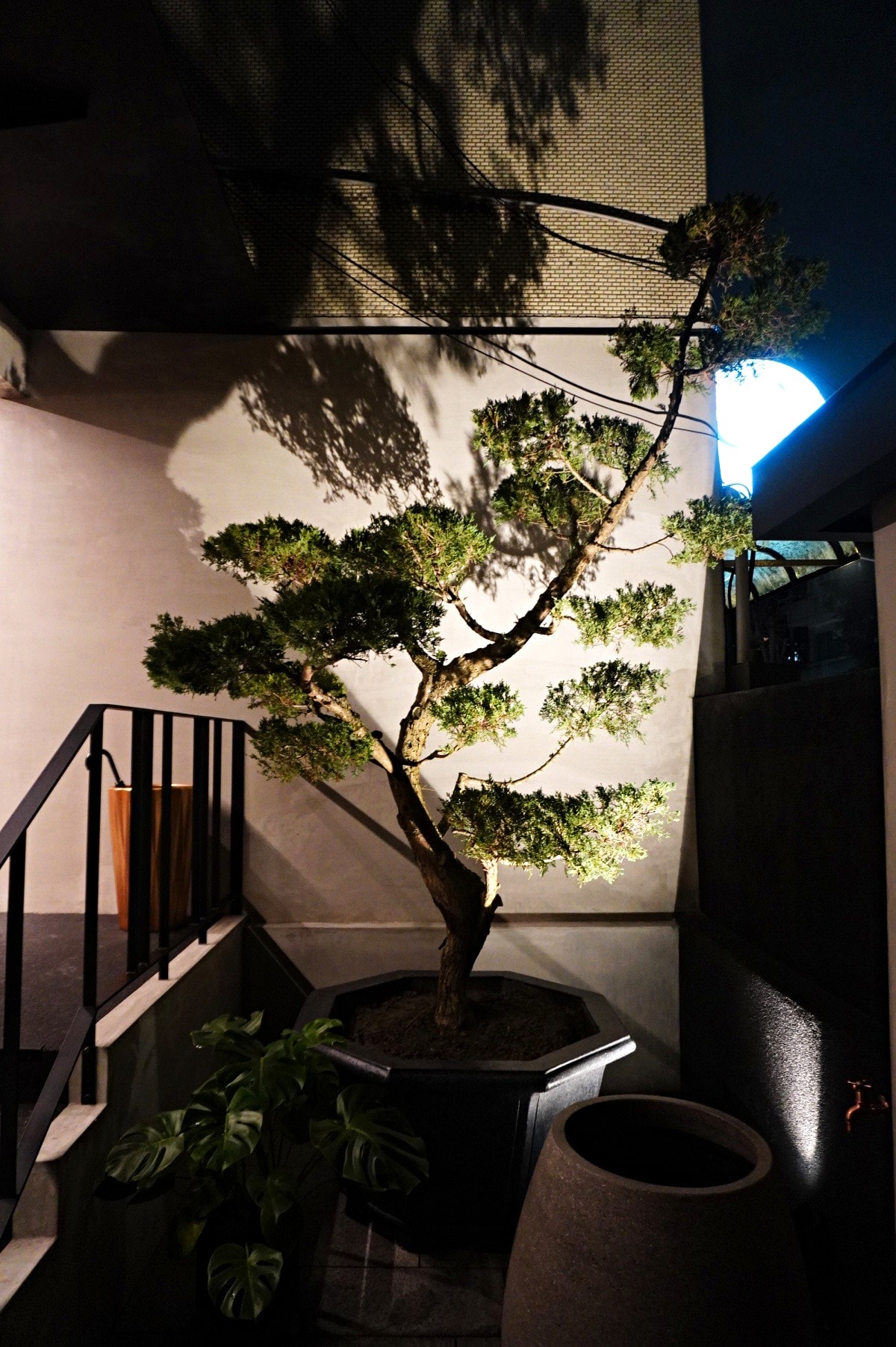 鮨寓 | 信義安和無菜單料理 | 信義區全新無菜單選擇 | 台北無菜單料理推薦 - 第58張圖 鮨寓 | 信義安和無菜單料理 | 信義區全新無菜單選擇 | 台北無菜單料理推薦