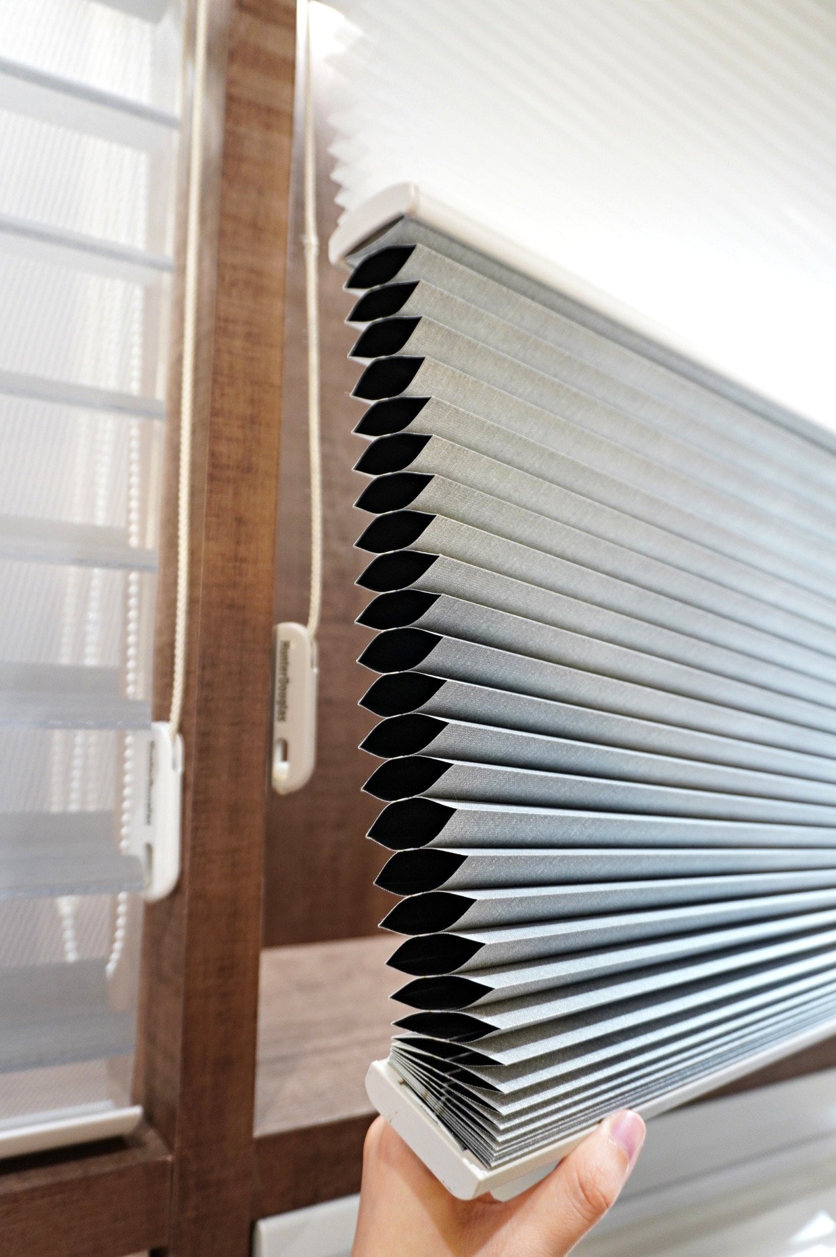 哥登傢飾 進口窗簾 | Hunter Douglas 蜂巢簾 | 大安區窗簾專賣店 - 第11張圖 哥登傢飾 進口窗簾 | Hunter Douglas 蜂巢簾 | 大安區窗簾專賣店