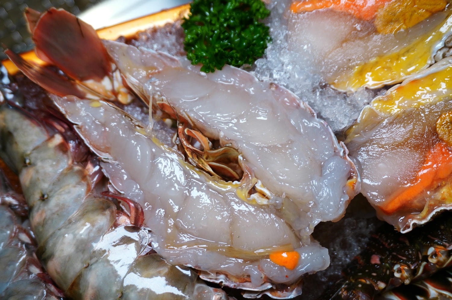 昭和園日式屋燒肉 蘆洲店 | 青龍蝦A5和牛120分鐘無限享用 | 全新方案