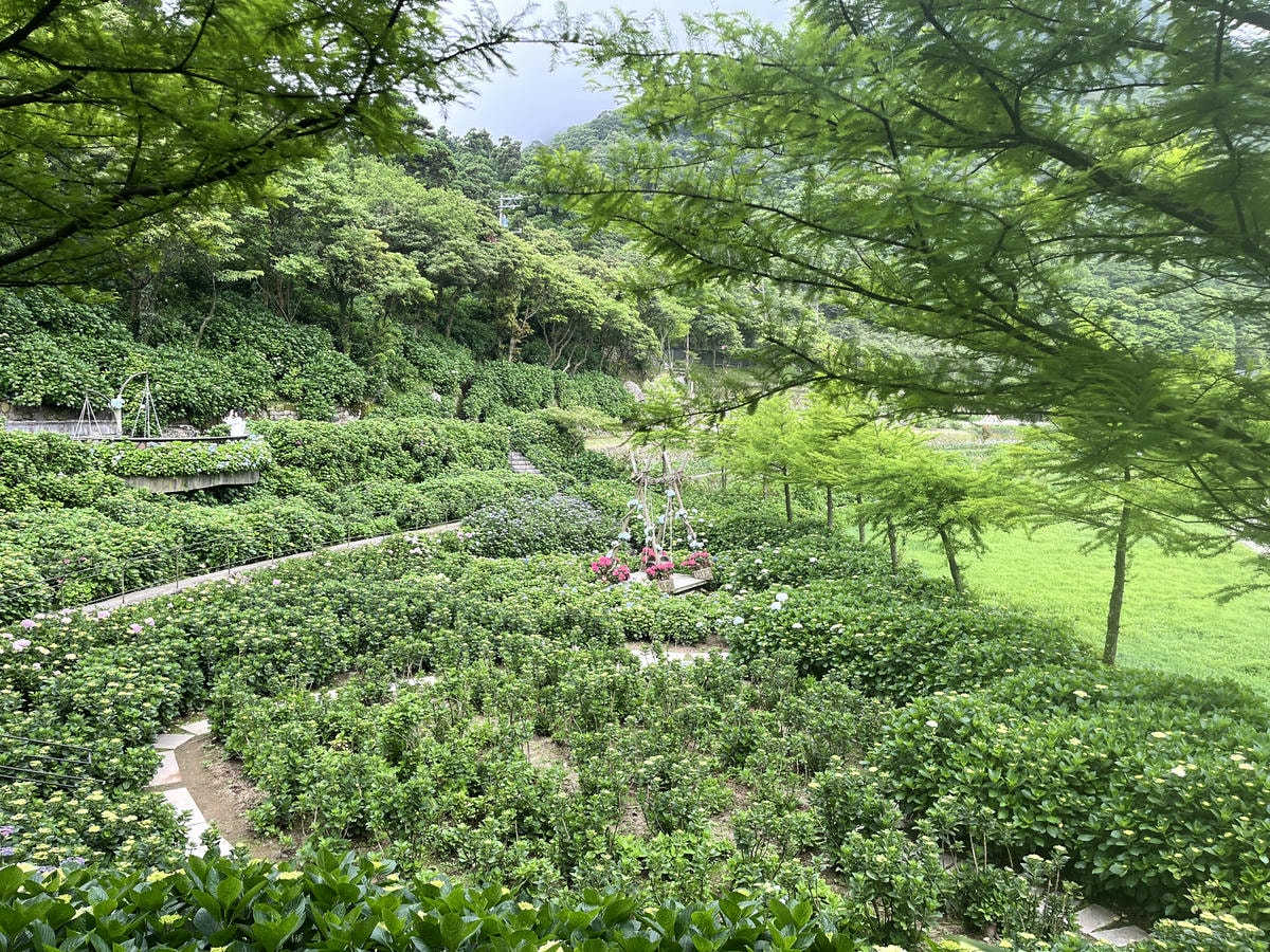 高鐵飯店聯票 COZZI 和逸飯店 民生館 | 高鐵花開旅行聯票住房專案搭配車票78折起 - 第55張圖 高鐵飯店聯票 COZZI 和逸飯店 民生館 | 高鐵花開旅行聯票住房專案搭配車票78折起