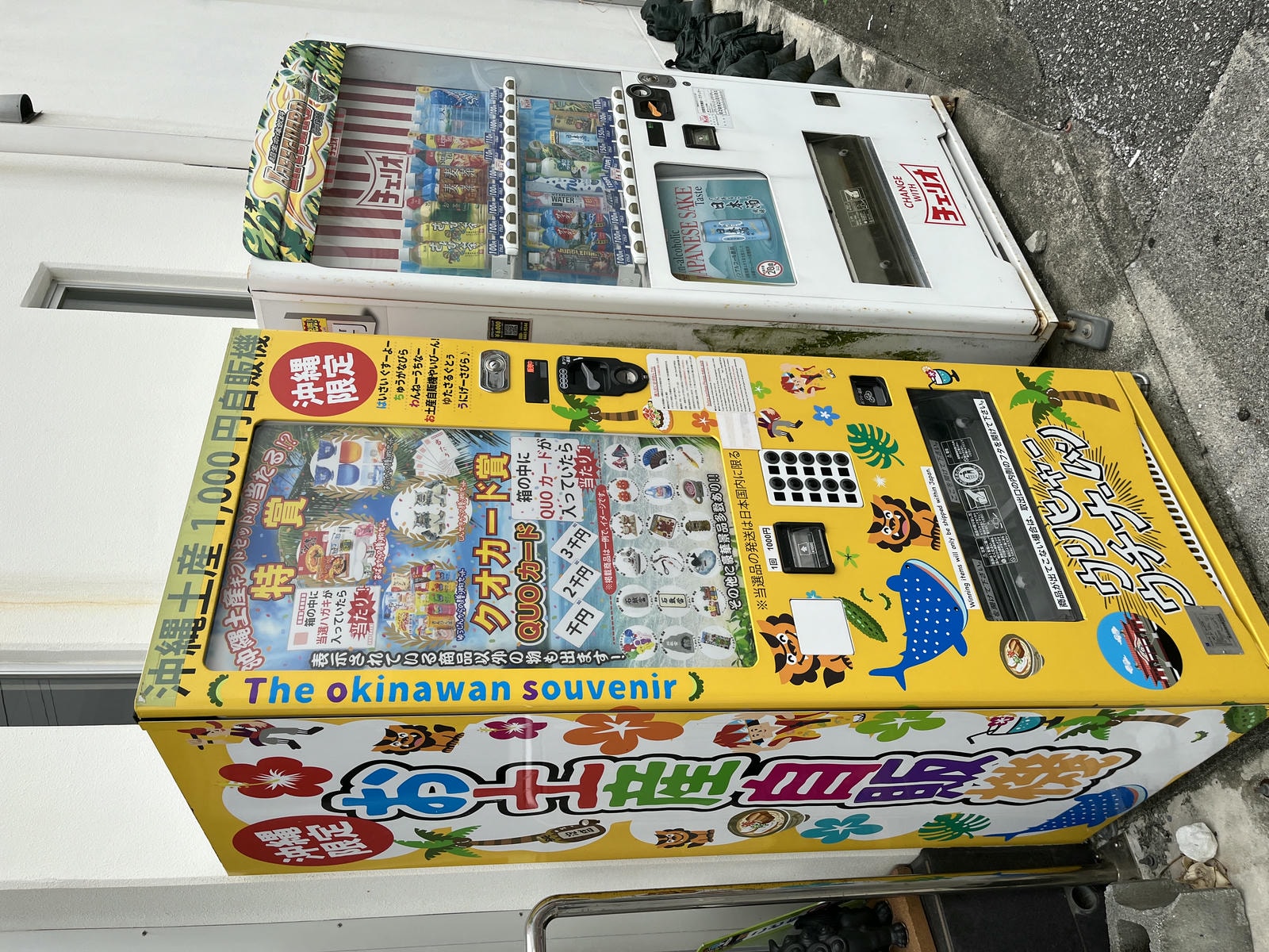 沖繩貓島 奧武島 | 看貓吃天婦羅的可愛小島 | 自駕沖繩景點 - 第17張圖 沖繩貓島 奧武島 | 看貓吃天婦羅的可愛小島 | 自駕沖繩景點
