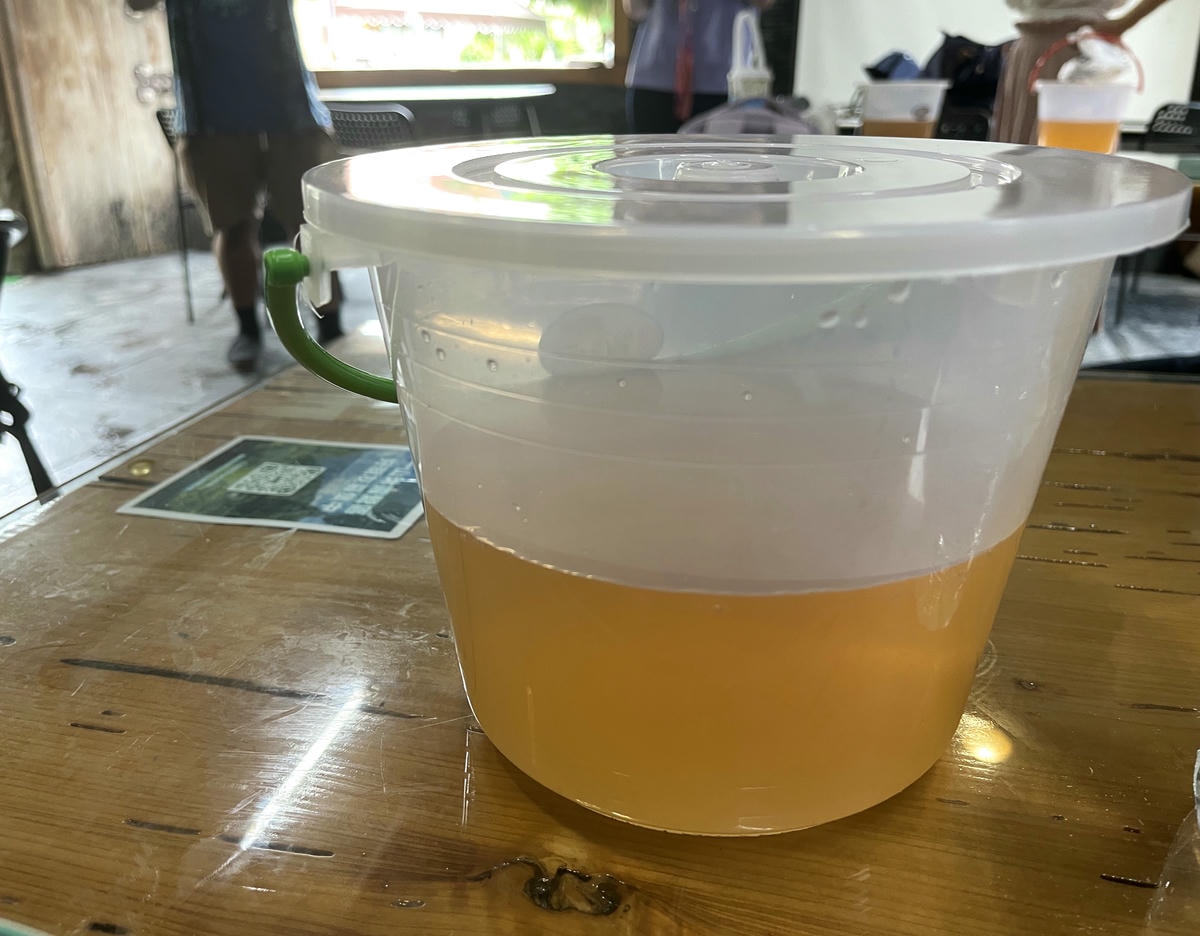 高雄茂林多納1日遊 | 帶你認識不一樣的多納隱密景點 | 多納吊橋 | 小長城 | 超好吃的石板烤肉 - 第31張圖 高雄茂林多納1日遊 | 帶你認識不一樣的多納隱密景點 | 多納吊橋 | 小長城 | 超好吃的石板烤肉