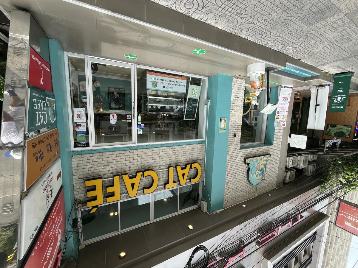 ASOK PETHOUSE CAT CAFE 曼谷 | 即將搬家 Asoke 領養機構開的貓咖啡 |