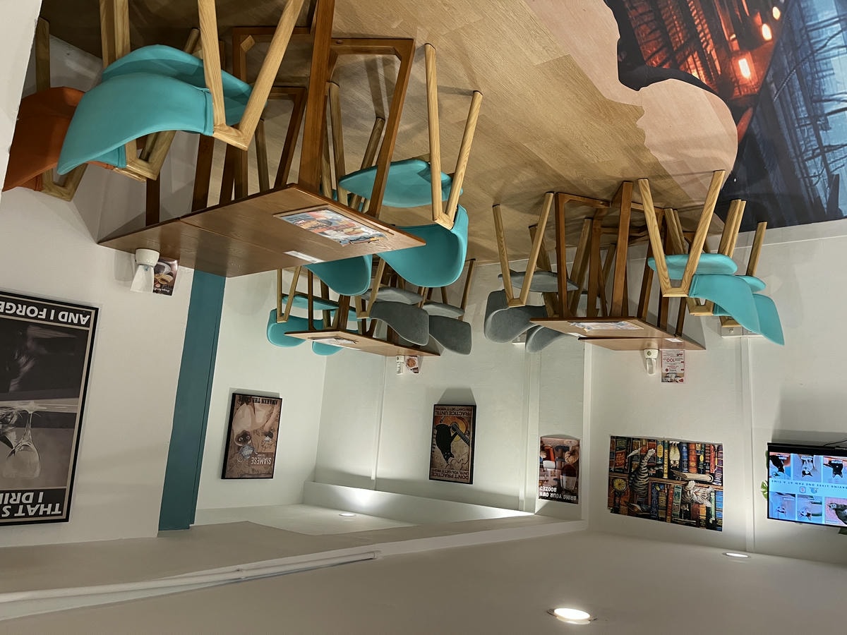 ASOK PETHOUSE CAT CAFE 曼谷 | 即將搬家 Asoke 領養機構開的貓咖啡 |