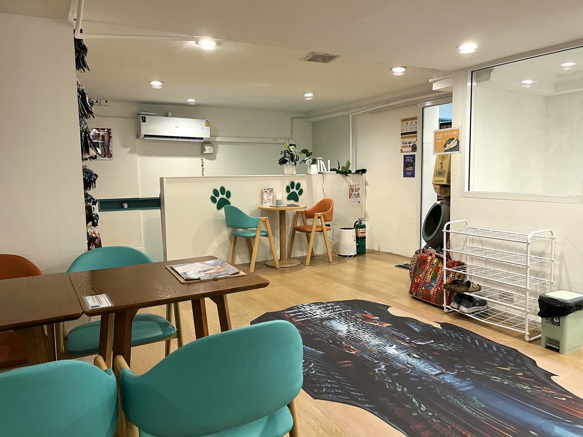 ASOK PETHOUSE CAT CAFE 曼谷 | 即將搬家 Asoke 領養機構開的貓咖啡 |