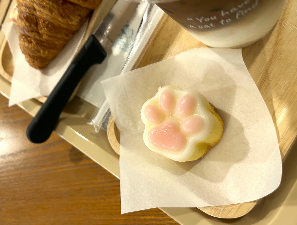 ASOK PETHOUSE CAT CAFE 曼谷 | 即將搬家 Asoke 領養機構開的貓咖啡 |