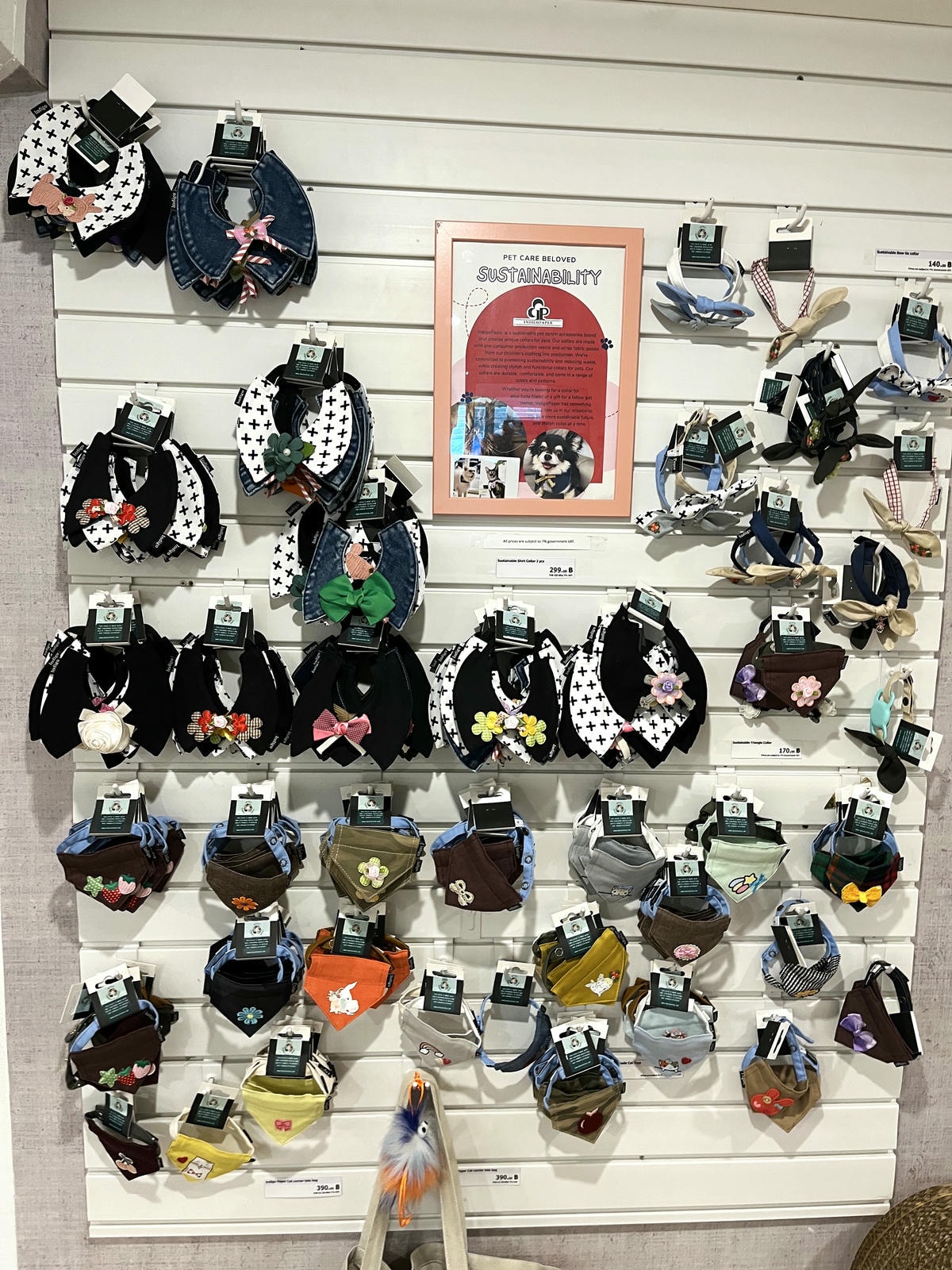 ASOK PETHOUSE CAT CAFE 曼谷 | 即將搬家 Asoke 領養機構開的貓咖啡 |