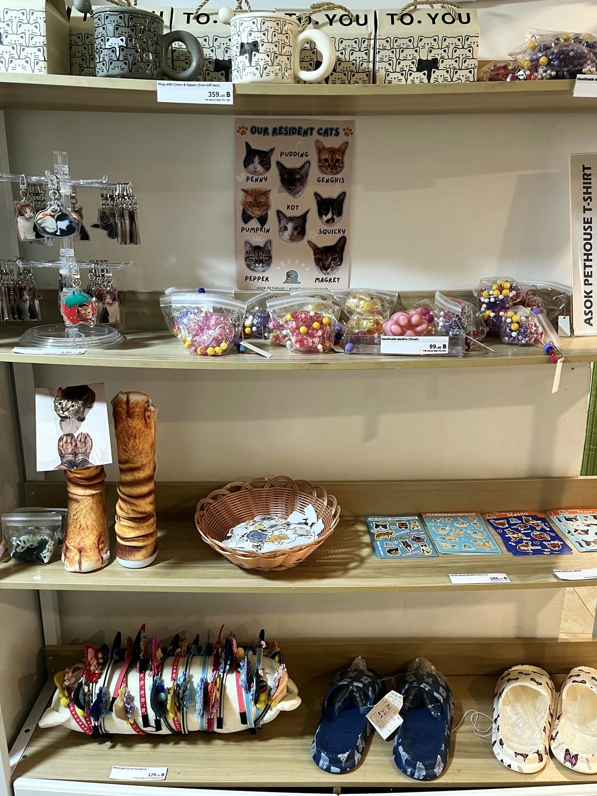 ASOK PETHOUSE CAT CAFE 曼谷 | 即將搬家 Asoke 領養機構開的貓咖啡 |