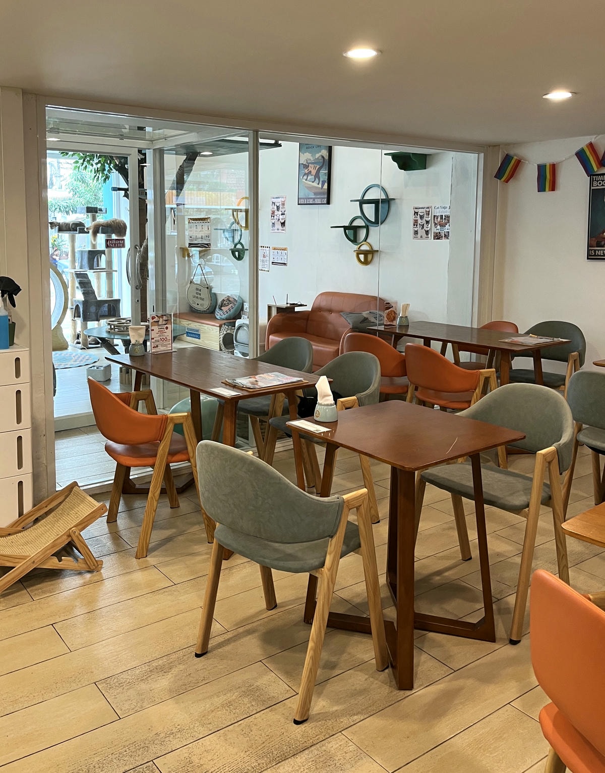 ASOK PETHOUSE CAT CAFE 曼谷 | 即將搬家 Asoke 領養機構開的貓咖啡 |