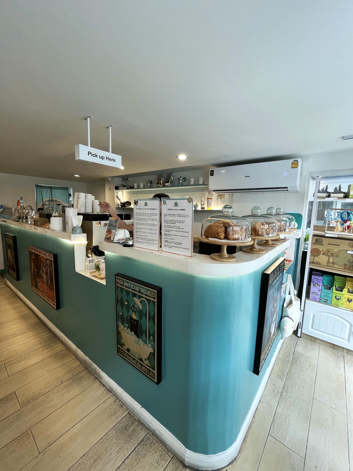 ASOK PETHOUSE CAT CAFE 曼谷 | 即將搬家 Asoke 領養機構開的貓咖啡 |