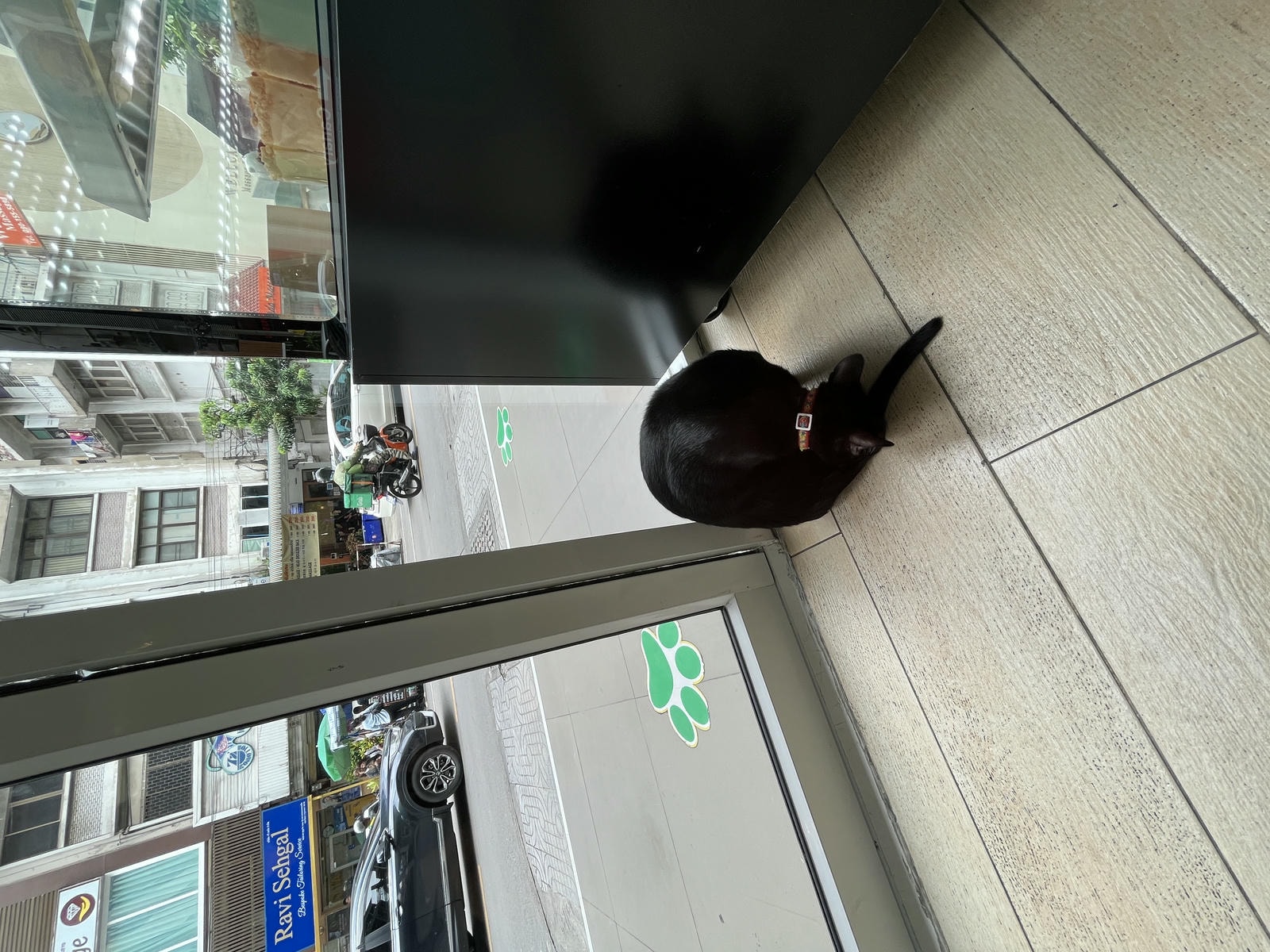ASOK PETHOUSE CAT CAFE 曼谷 | 即將搬家 Asoke 領養機構開的貓咖啡 |