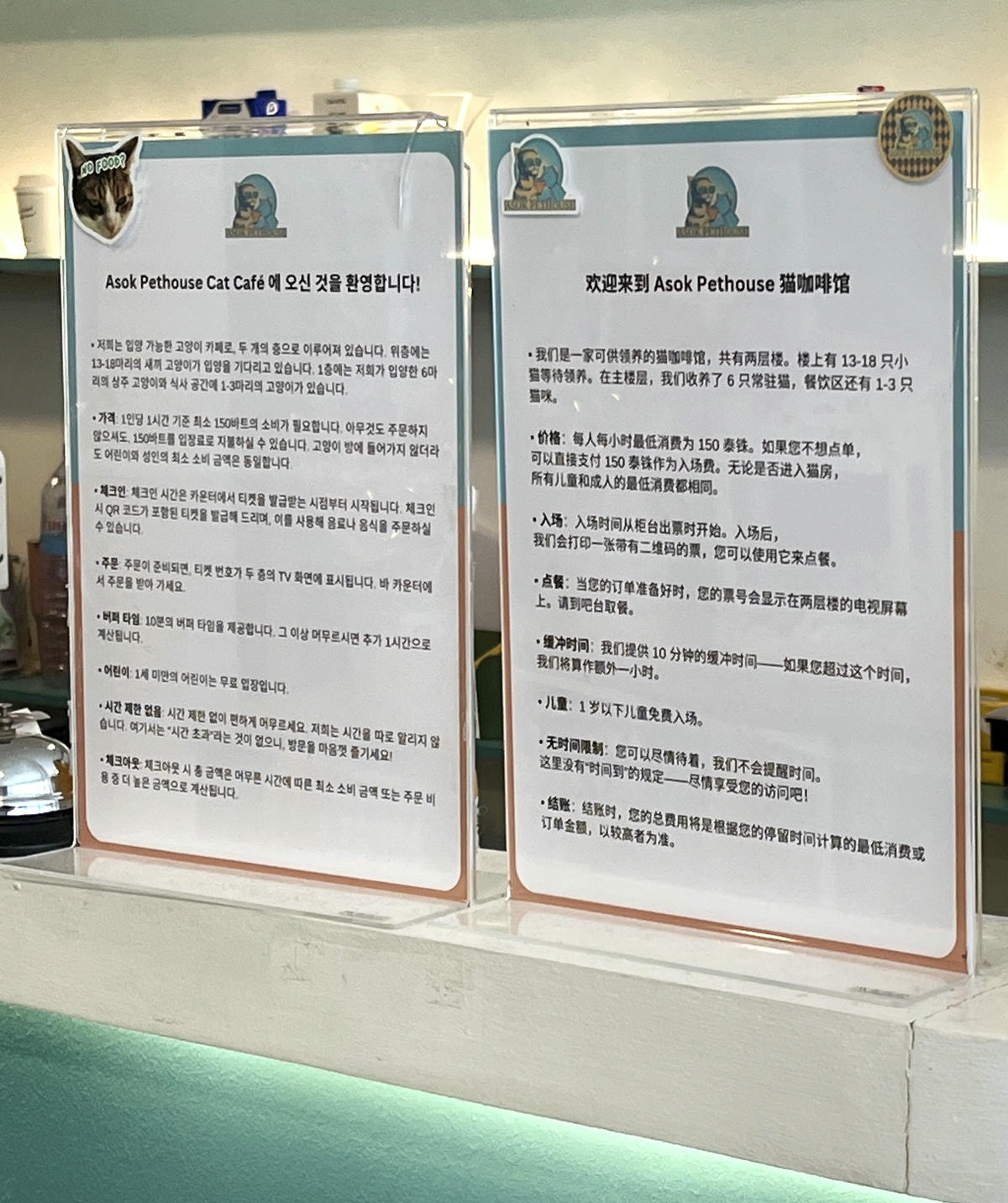 ASOK PETHOUSE CAT CAFE 曼谷 | 即將搬家 Asoke 領養機構開的貓咖啡 |