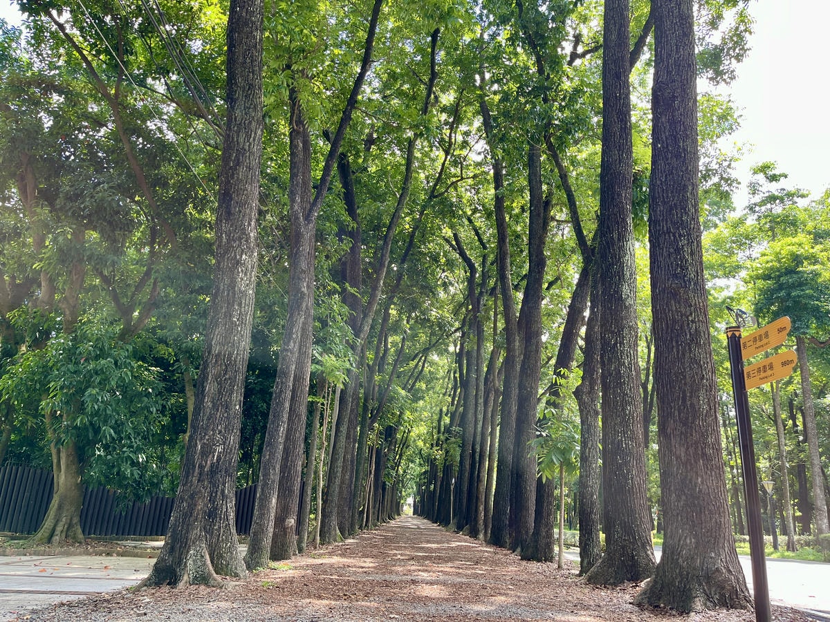 六龜 2天一夜小旅行 | 山谷小木屋 | 森林公園電輔腳踏車 | 高雄六龜景點推薦 - 第5張圖 六龜 2天一夜小旅行 | 山谷小木屋 | 森林公園電輔腳踏車 | 高雄六龜景點推薦