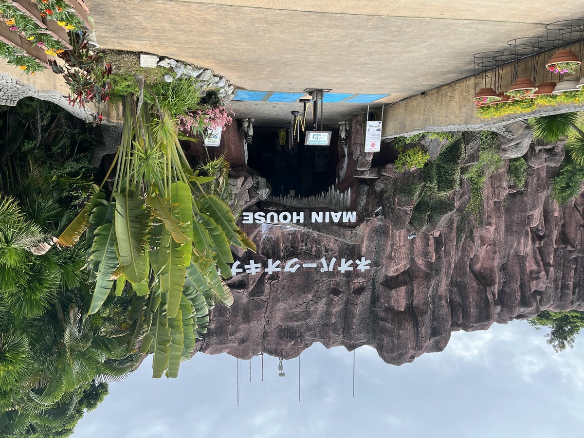 Neo Park 沖繩名護自然動植物園 | 放養動植物園 | 可以摸水豚好玩又便宜 - 第1張圖 Neo Park 沖繩名護自然動植物園 | 放養動植物園 | 可以摸水豚好玩又便宜