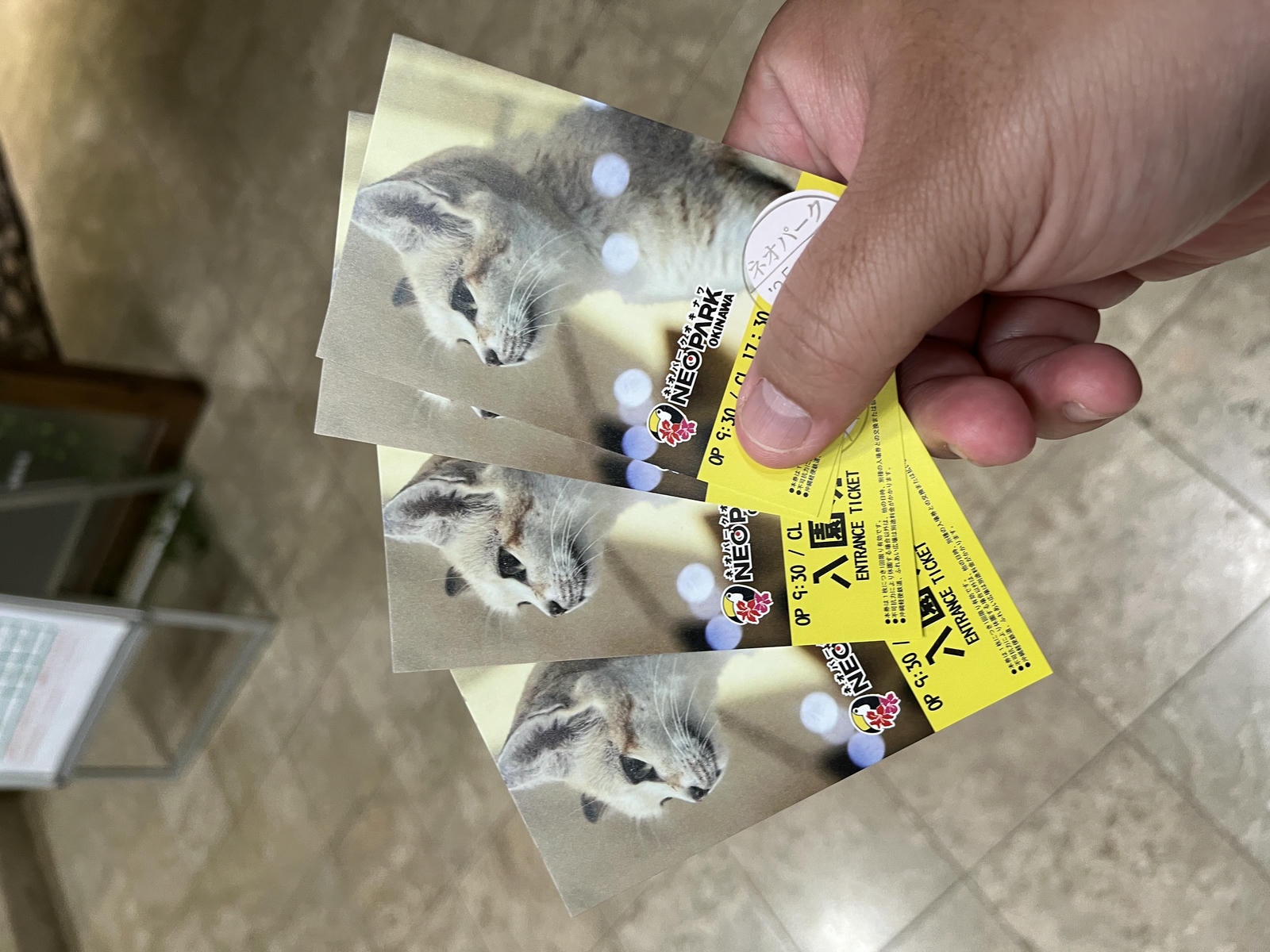Neo Park 沖繩名護自然動植物園 | 放養動植物園 | 可以摸水豚好玩又便宜 - 第3張圖 Neo Park 沖繩名護自然動植物園 | 放養動植物園 | 可以摸水豚好玩又便宜