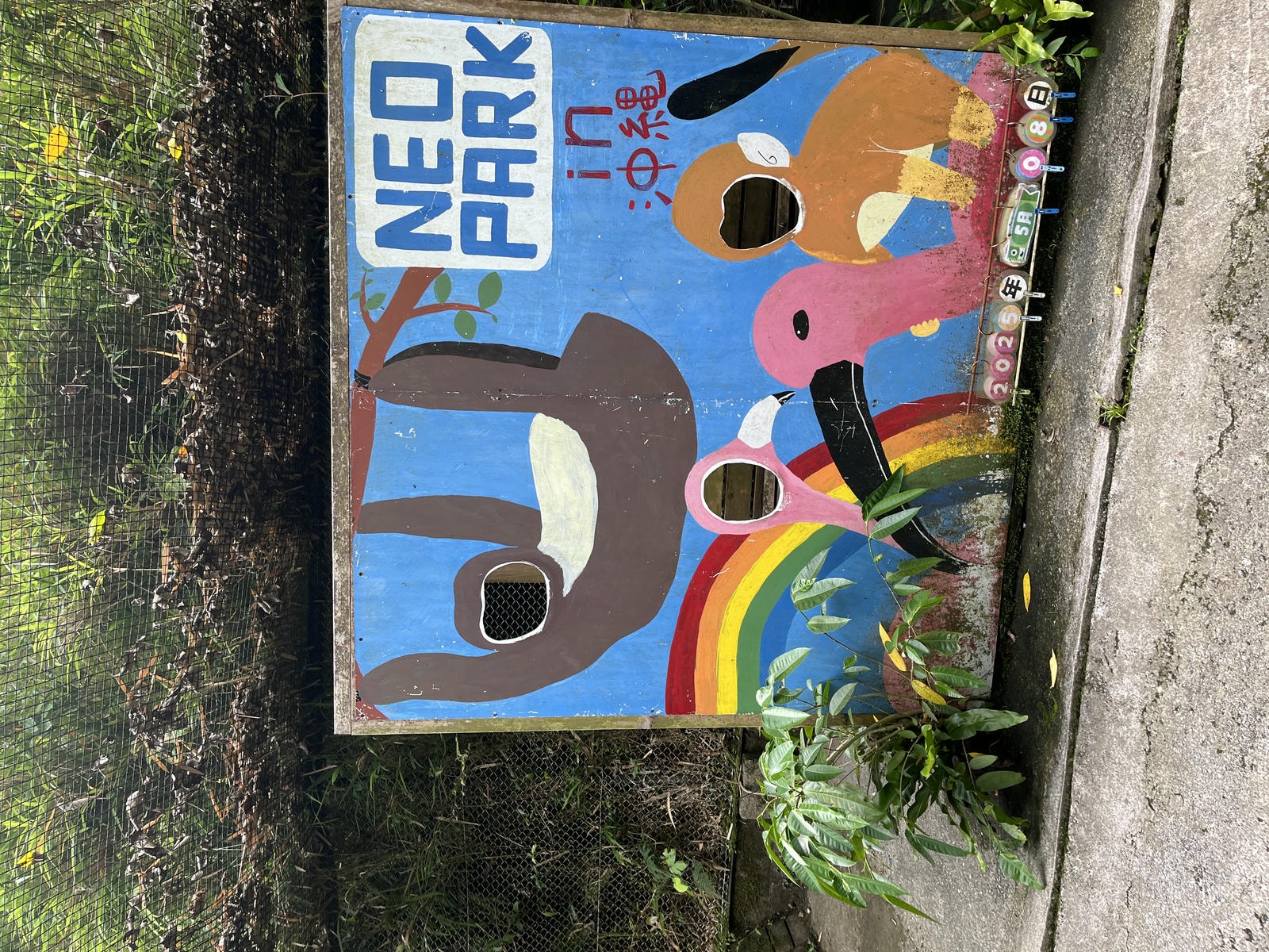 Neo Park 沖繩名護自然動植物園 | 放養動植物園 | 可以摸水豚好玩又便宜 - 第9張圖 Neo Park 沖繩名護自然動植物園 | 放養動植物園 | 可以摸水豚好玩又便宜