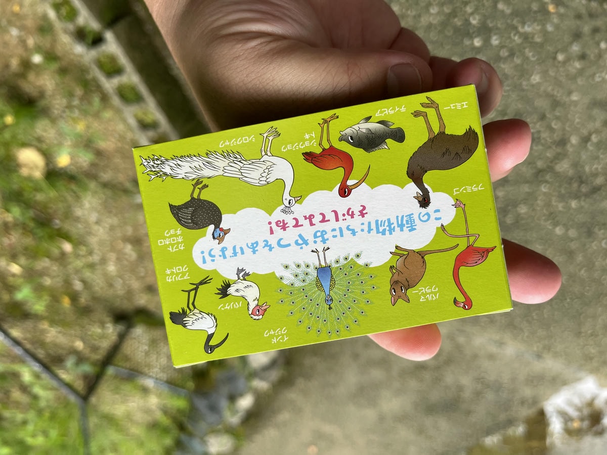 Neo Park 沖繩名護自然動植物園 | 放養動植物園 | 可以摸水豚好玩又便宜 - 第20張圖 Neo Park 沖繩名護自然動植物園 | 放養動植物園 | 可以摸水豚好玩又便宜